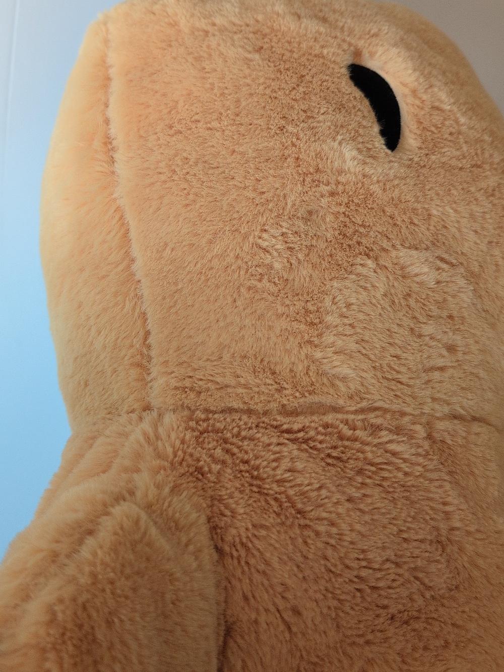 NWT Soft Capybara Weighted Plushy - Picture 12 of 12